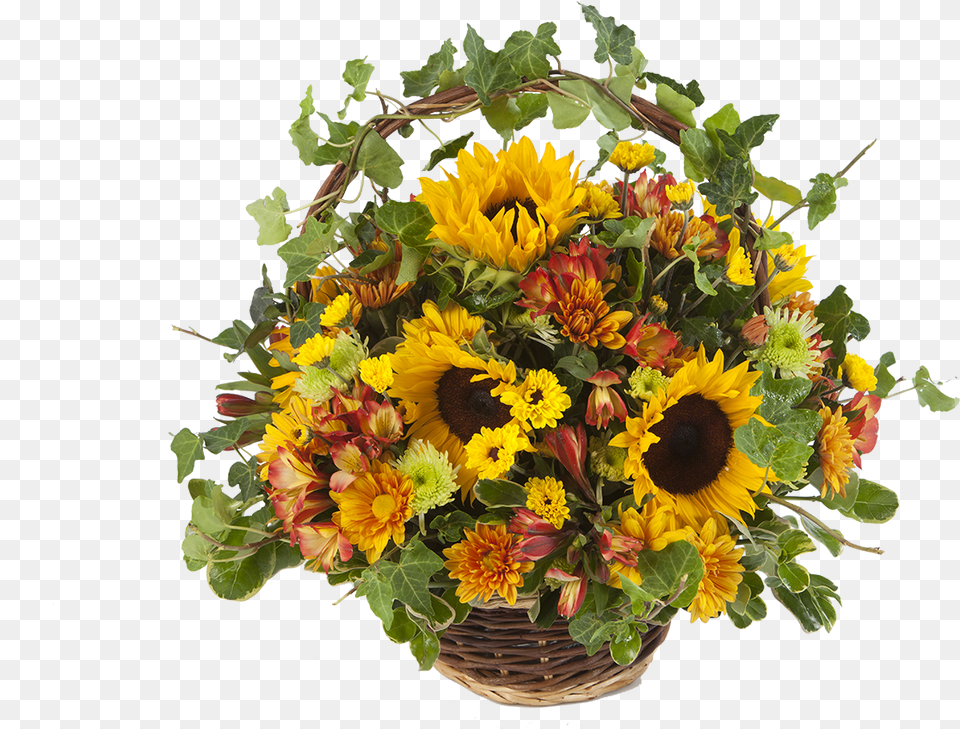 Bouquet, Flower, Flower Arrangement, Flower Bouquet, Plant Png