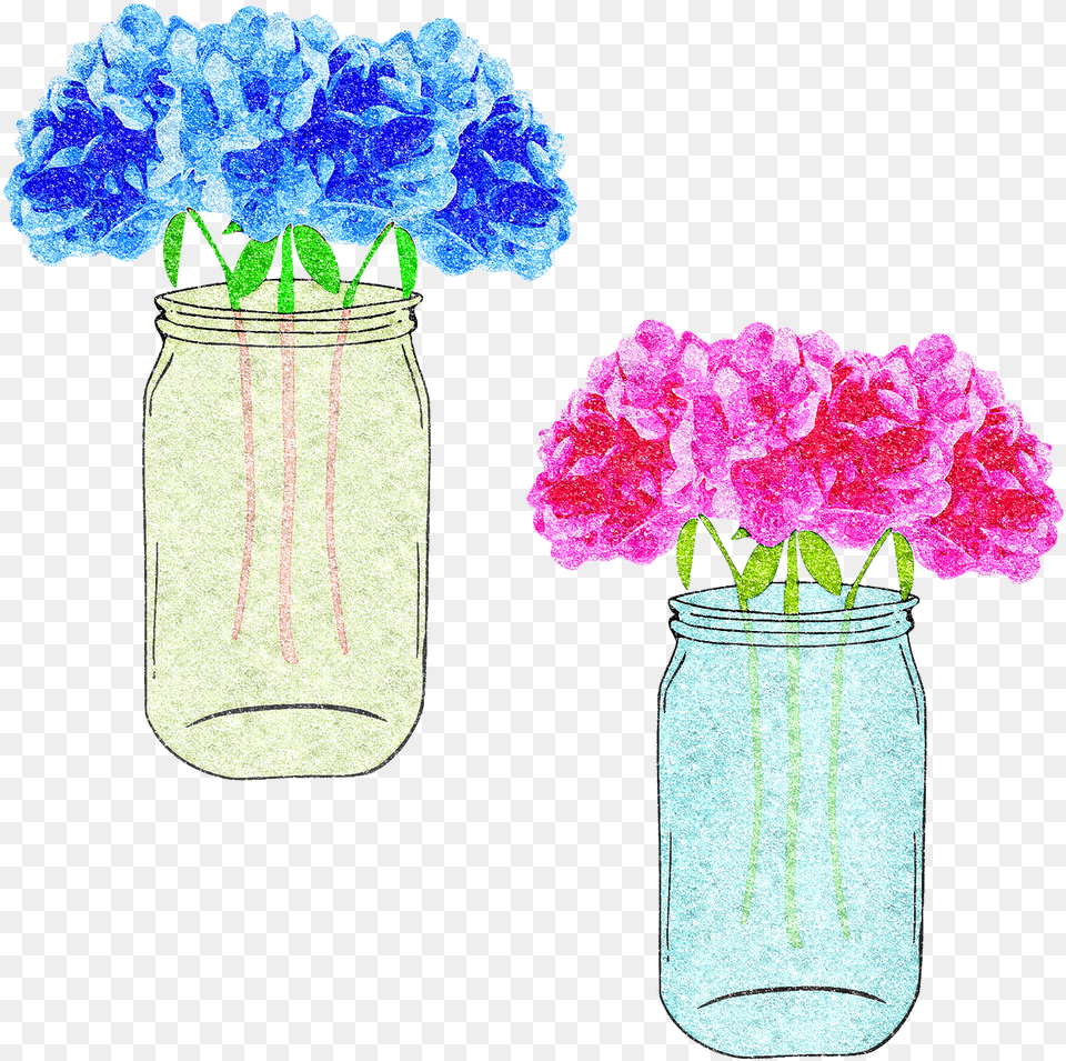 Bouquet, Jar, Carnation, Flower, Plant Free Transparent Png
