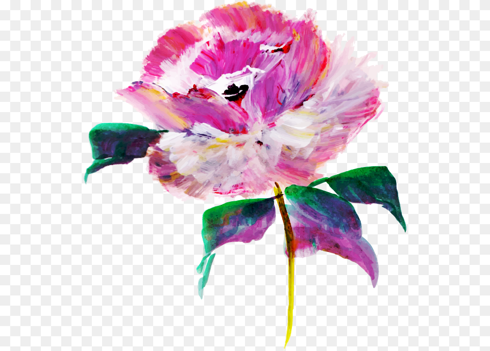 Bouquet, Flower, Plant, Carnation, Art Free Png Download