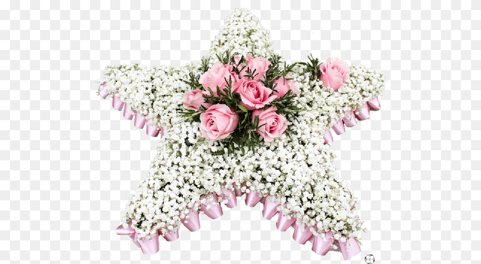 Bouquet, Rose, Plant, Flower, Flower Arrangement Png