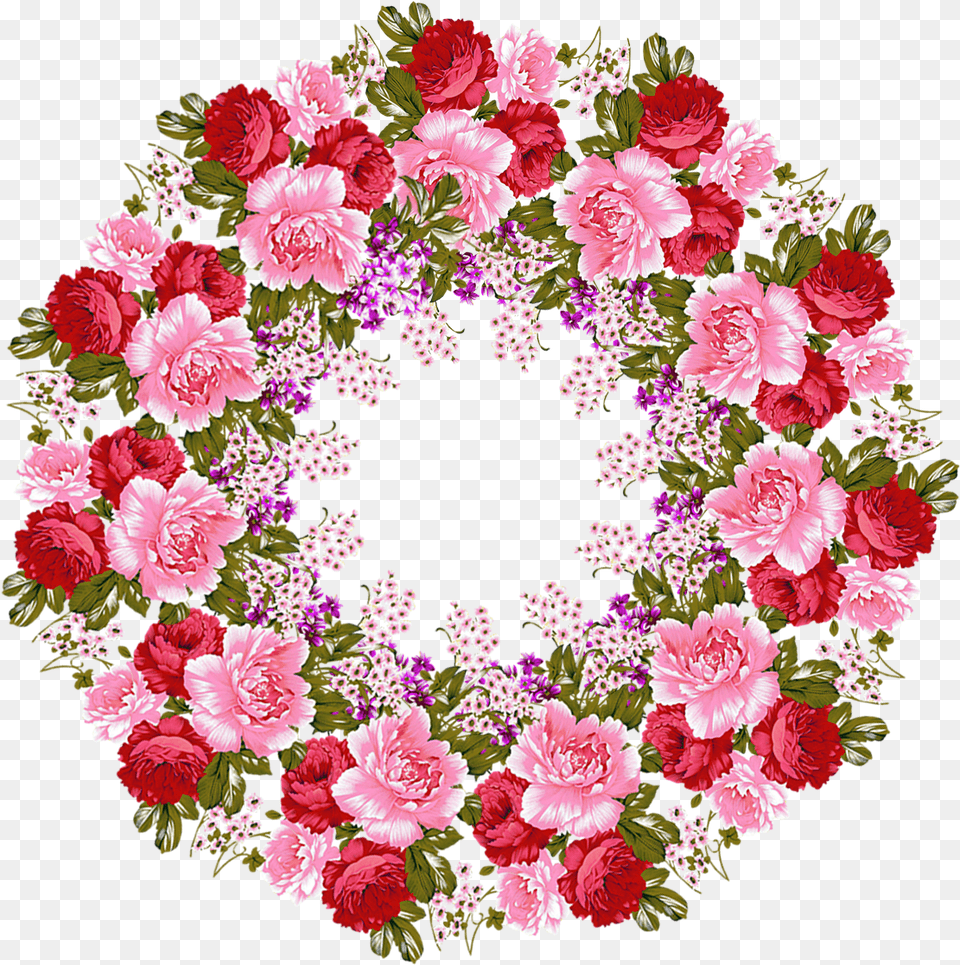 Bouquet, Carnation, Flower, Plant, Pattern Png