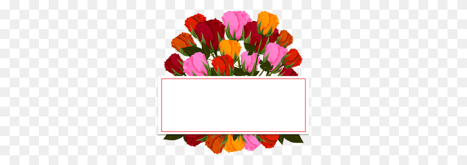 Bouquet Art, Plant, Pattern, Graphics Free Png