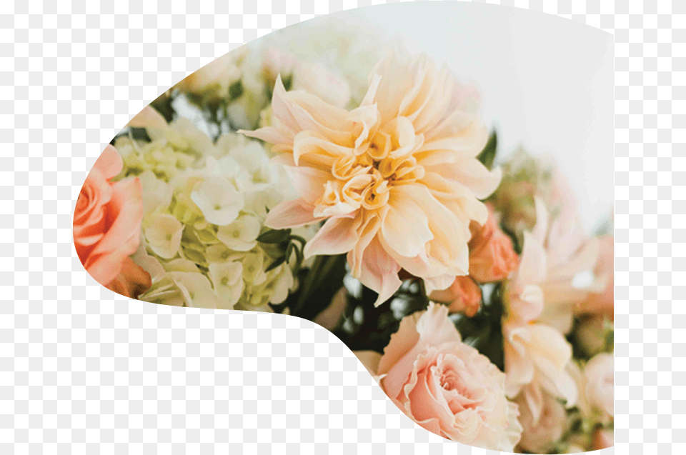 Bouquet, Flower, Flower Arrangement, Flower Bouquet, Plant Png Image