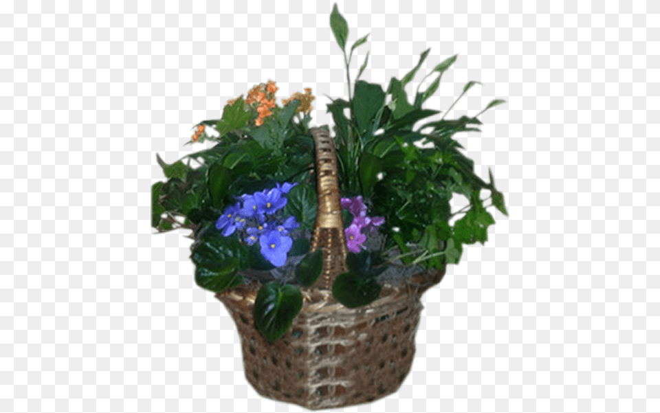 Bouquet, Vase, Pottery, Potted Plant, Planter Png Image