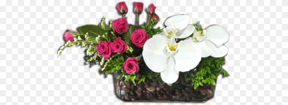 Bouquet, Rose, Plant, Flower, Flower Arrangement Png