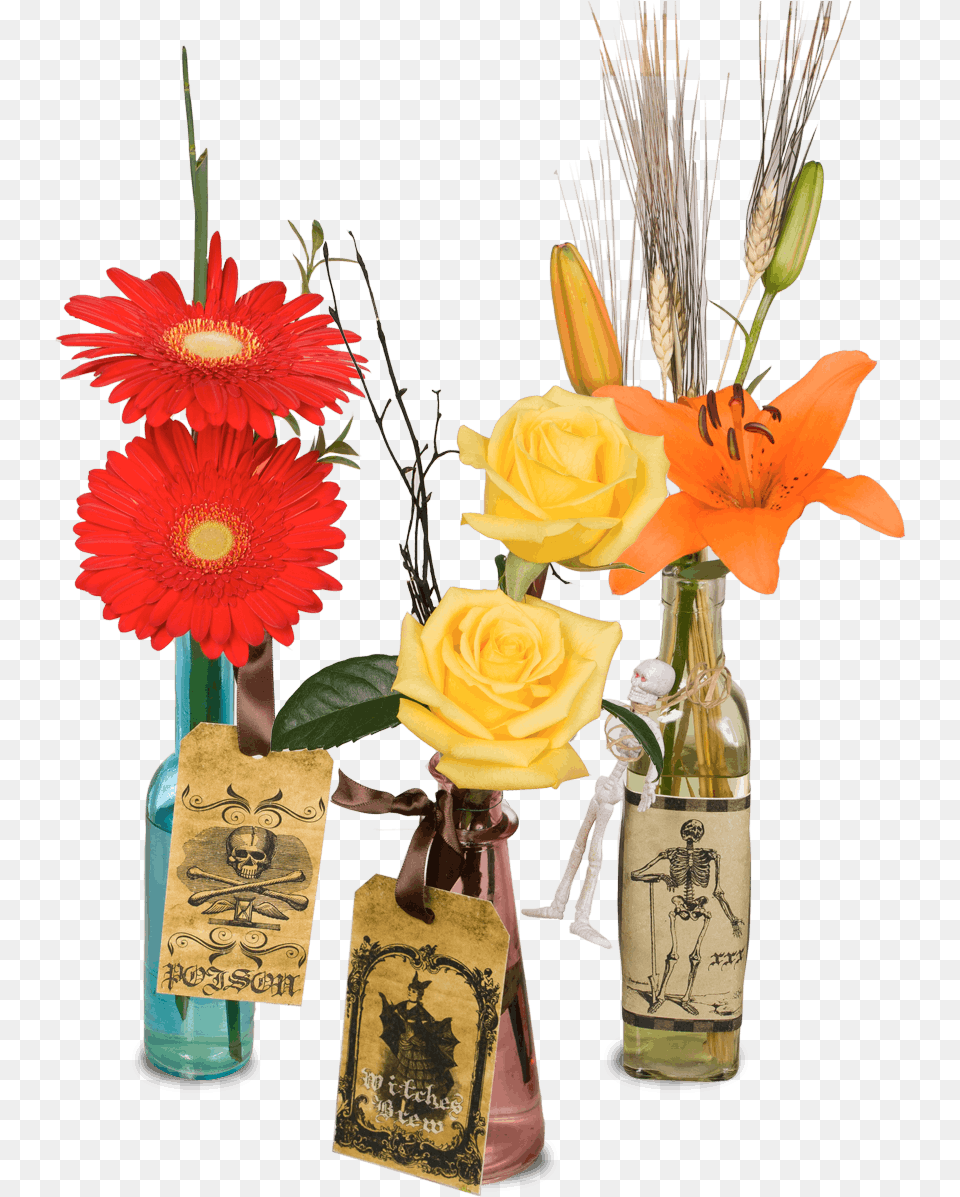 Bouquet, Flower, Flower Arrangement, Flower Bouquet, Plant Png