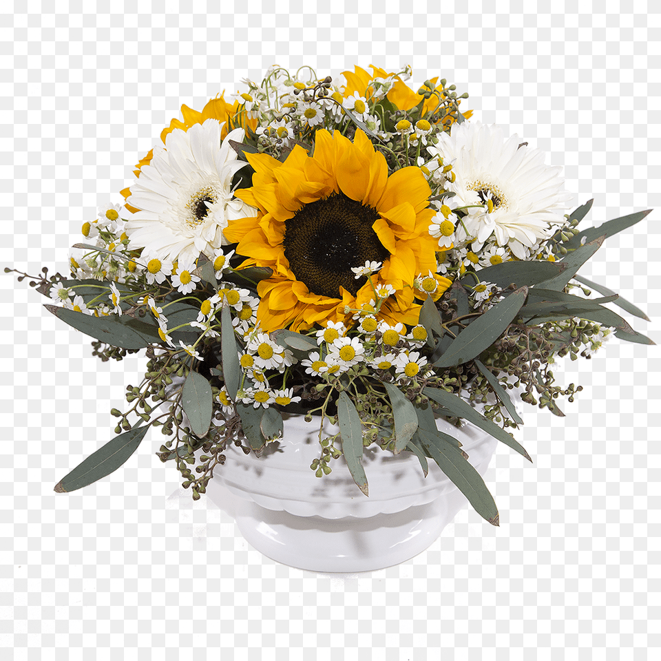 Bouquet, Flower, Flower Arrangement, Flower Bouquet, Plant Png Image