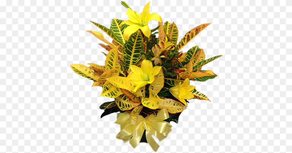 Bouquet, Flower, Flower Arrangement, Flower Bouquet, Leaf Png