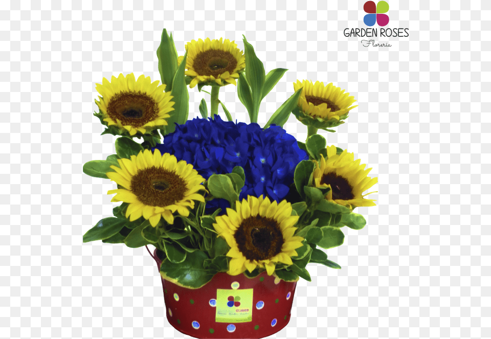 Bouquet, Flower, Flower Arrangement, Flower Bouquet, Plant Free Png