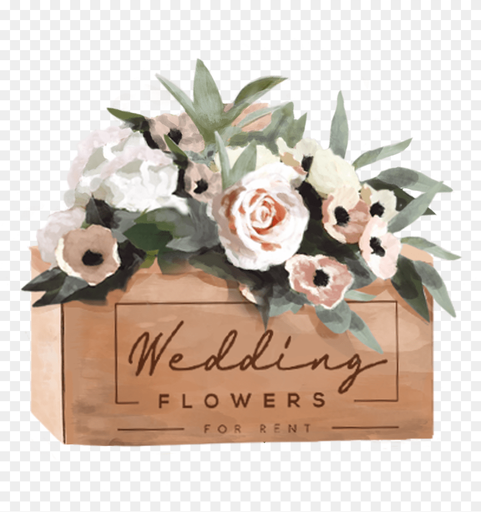 Bouquet, Rose, Plant, Flower, Flower Arrangement Png Image