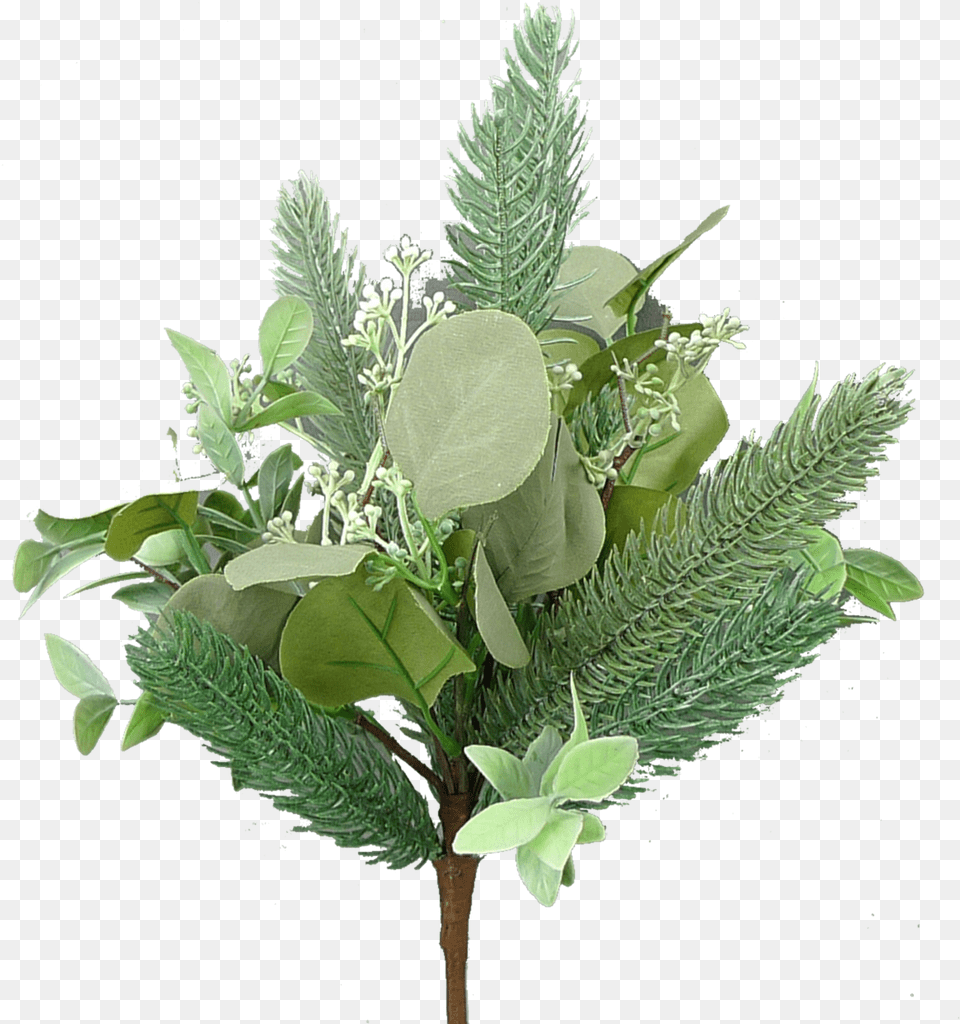 Bouquet, Flower, Flower Arrangement, Leaf, Plant Free Transparent Png