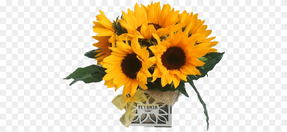 Bouquet, Flower, Flower Arrangement, Plant, Sunflower Png Image