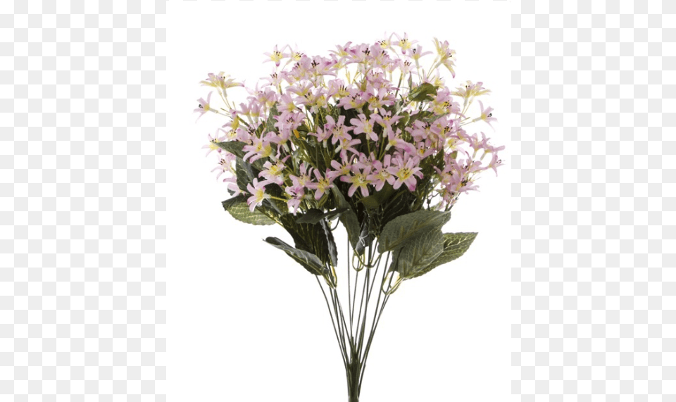 Bouquet, Flower, Flower Arrangement, Flower Bouquet, Plant Free Png