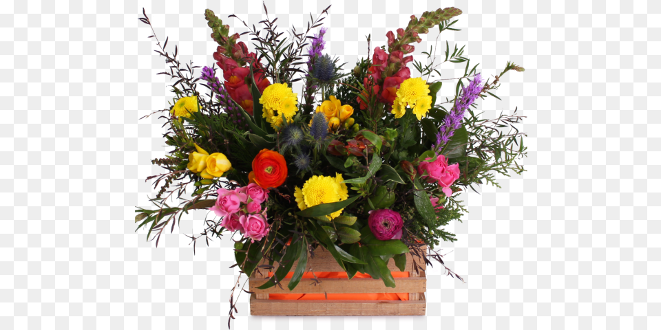 Bouquet, Plant, Flower, Flower Arrangement, Flower Bouquet Free Transparent Png