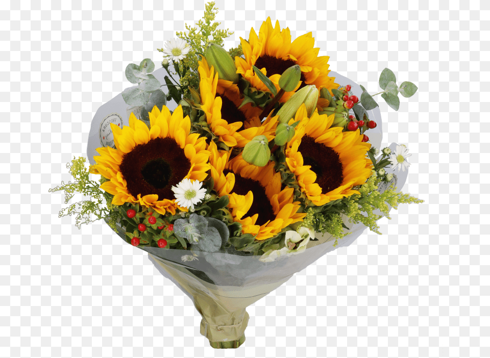 Bouquet, Flower, Flower Arrangement, Flower Bouquet, Plant Png Image