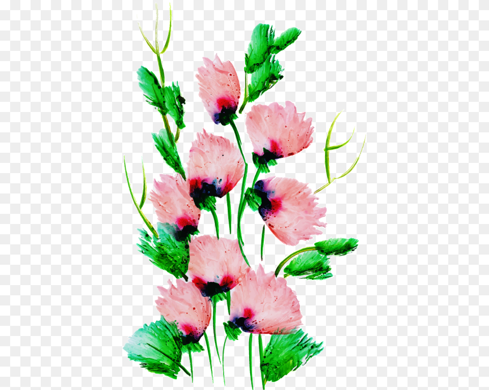 Bouquet, Carnation, Flower, Plant Png Image