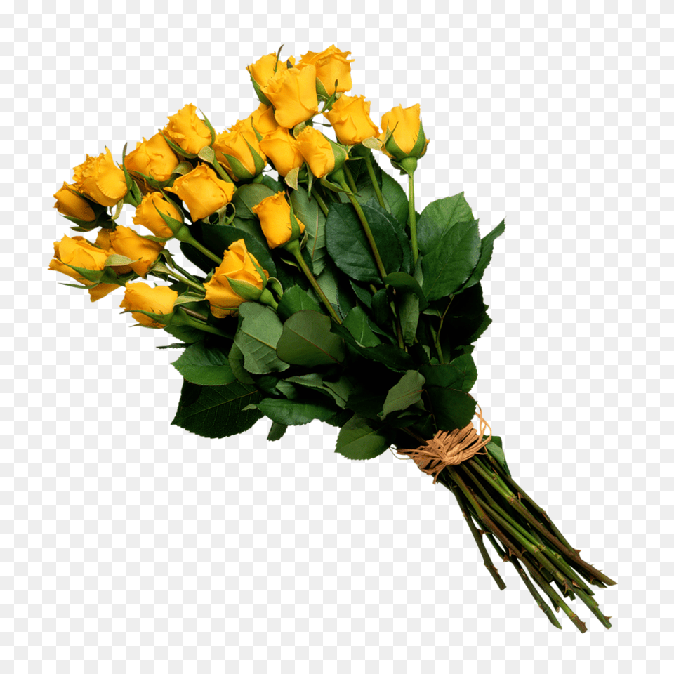 Bouquet, Flower, Flower Arrangement, Flower Bouquet, Plant Free Png