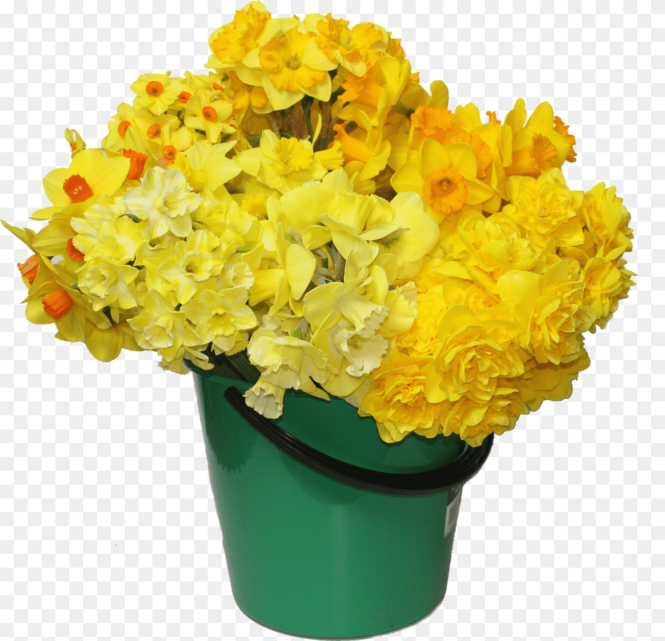 Bouquet Png