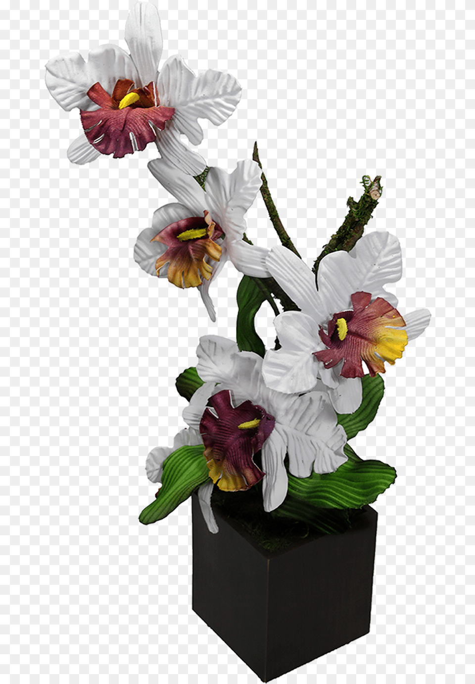 Bouquet, Flower, Flower Arrangement, Flower Bouquet, Plant Free Png