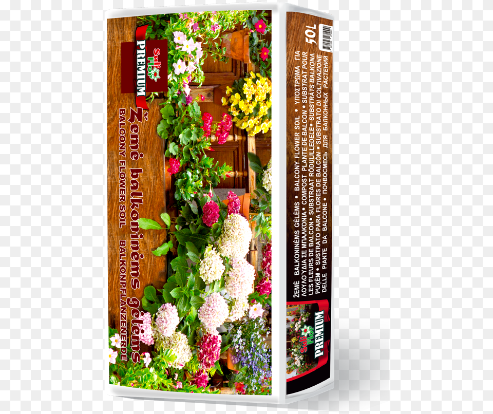 Bouquet, Flower Bouquet, Plant, Flower, Flower Arrangement Free Transparent Png
