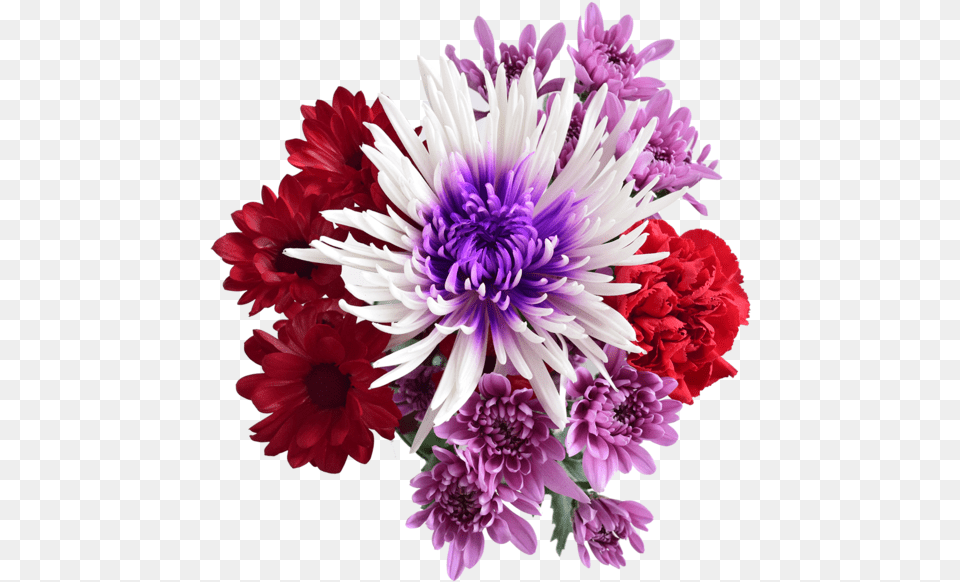 Bouquet, Dahlia, Flower, Flower Arrangement, Flower Bouquet Free Png