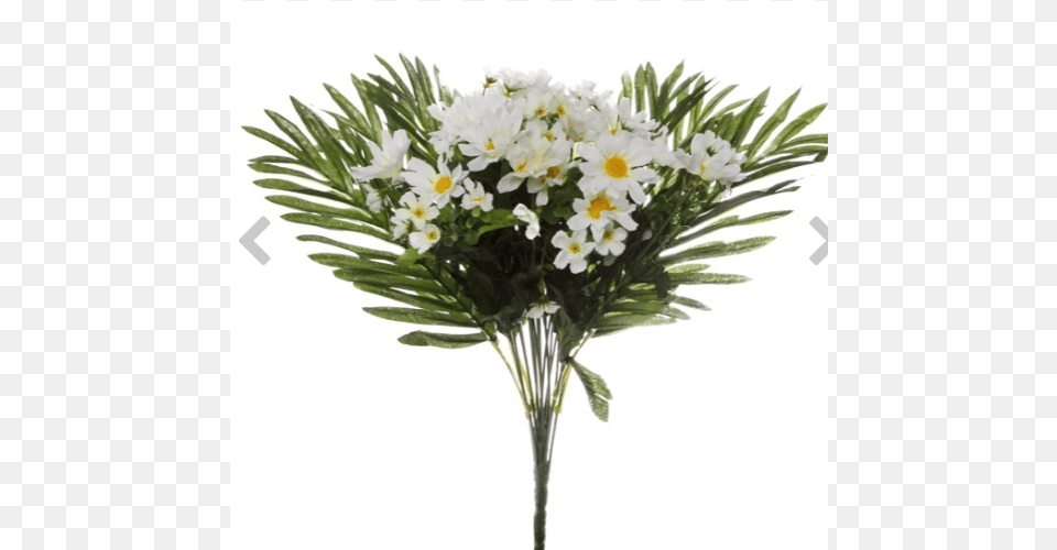 Bouquet, Flower, Flower Arrangement, Flower Bouquet, Plant Png