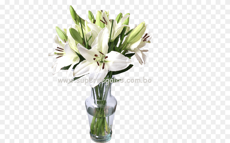 Bouquet, Flower, Flower Arrangement, Flower Bouquet, Plant Free Png Download