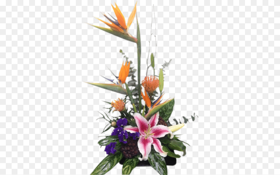 Bouquet, Plant, Ikebana, Flower Bouquet, Flower Arrangement Free Png Download