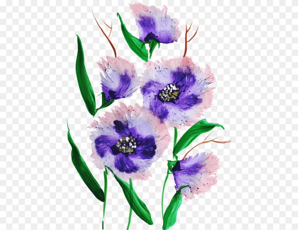 Bouquet, Flower, Plant, Anemone, Anther Free Png
