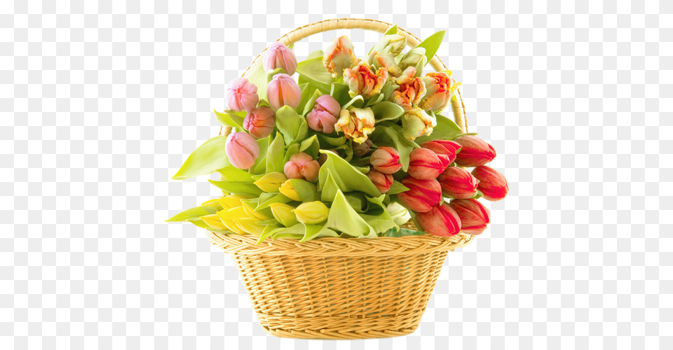 Bouquet, Flower, Flower Arrangement, Flower Bouquet, Plant Png Image