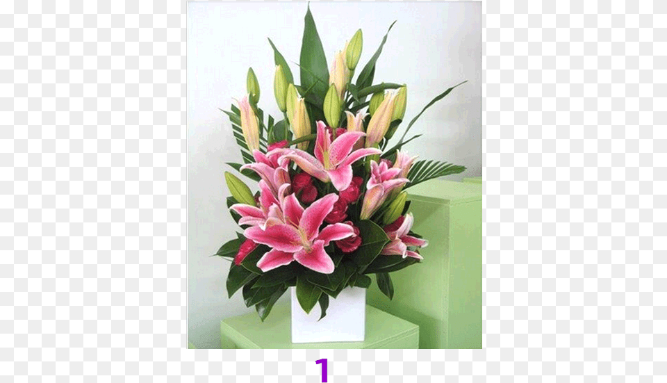 Bouquet, Flower, Flower Arrangement, Flower Bouquet, Plant Png