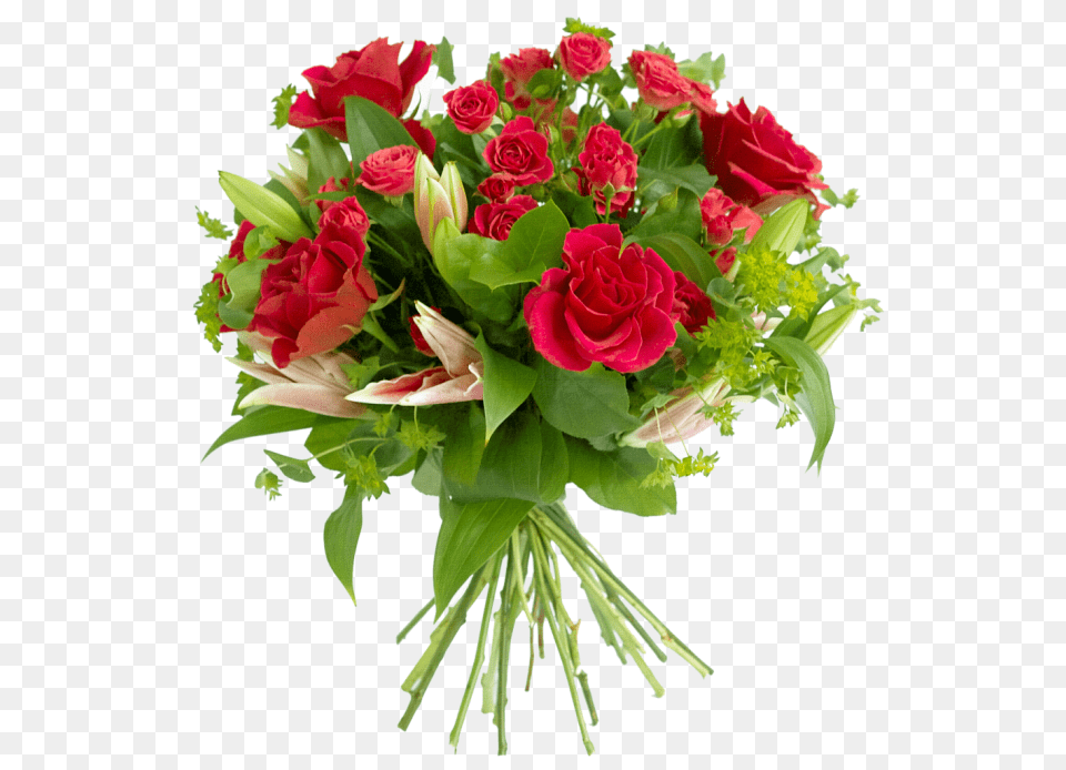 Bouquet, Flower, Flower Arrangement, Flower Bouquet, Plant Free Transparent Png