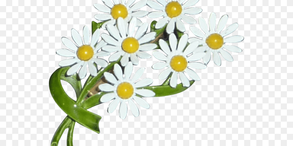 Bouquet Clipart Daisy Plant Oxeye Daisy, Flower, Petal, Chandelier, Lamp Free Png