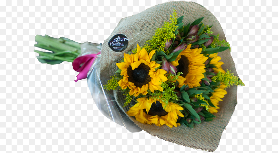 Bouquet Download Bouquet, Flower, Flower Arrangement, Flower Bouquet, Plant Free Png