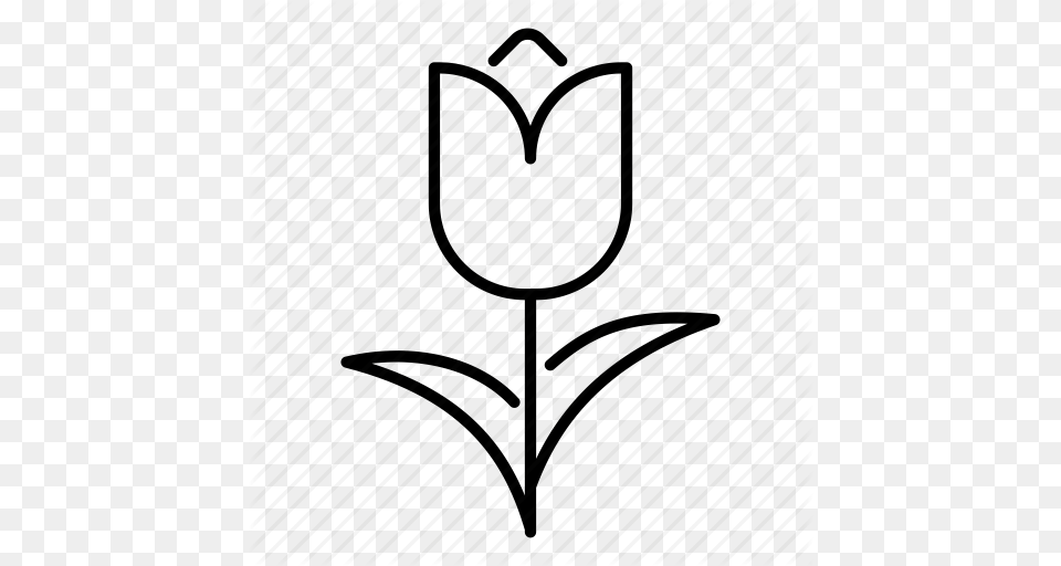 Bouquet Flower Nature Plant Spring Spring Flower Tulip Icon Free Transparent Png