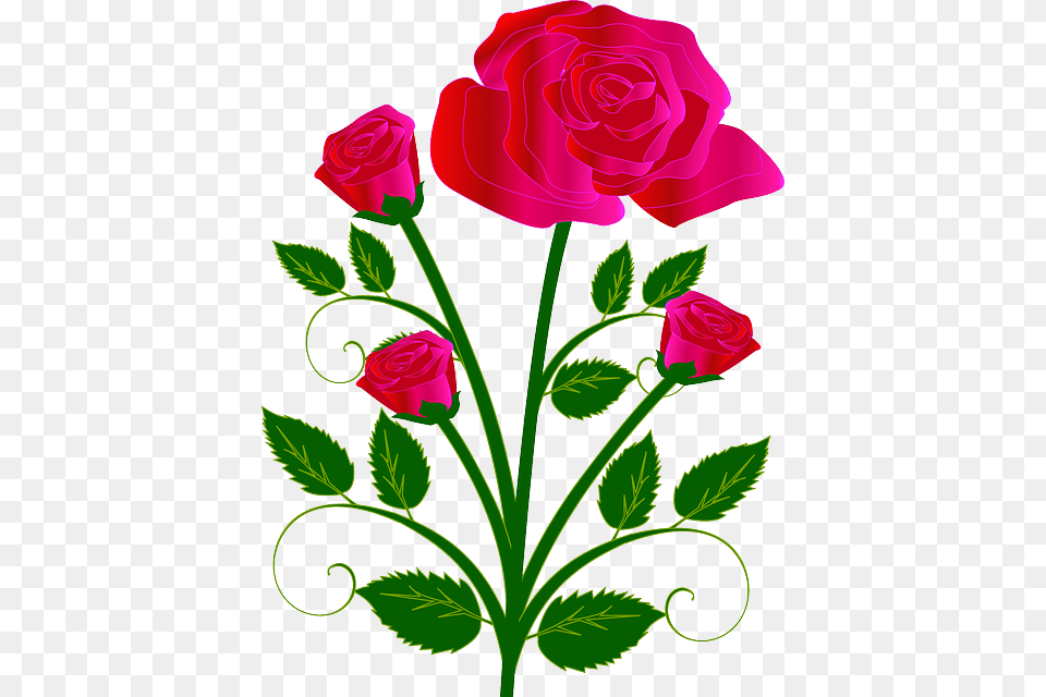 Bouquet Flower Rose Red Love Rose Tree Clipart, Plant, Art, Graphics, Dynamite Free Png