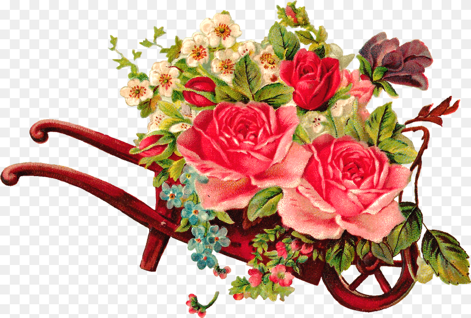 Bouquet Flower Vintage, Flower Arrangement, Flower Bouquet, Plant, Rose Png Image