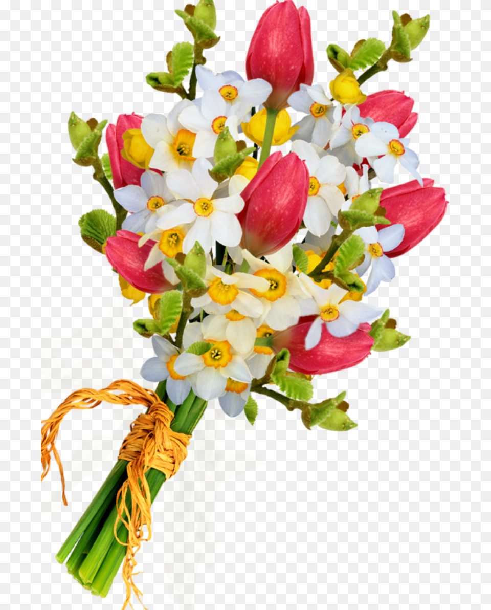 Bouquet Flowers Bouquet Of Flowers, Flower, Flower Arrangement, Flower Bouquet, Plant Png