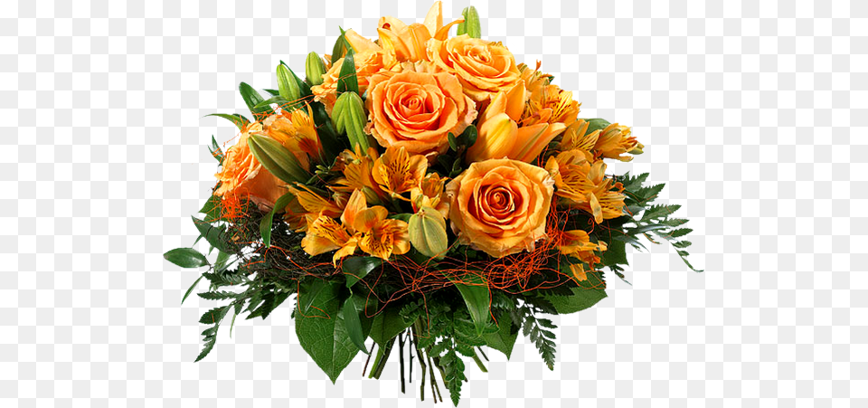 Bouquet Flowers Bouquet Orange, Flower, Flower Arrangement, Flower Bouquet, Plant Free Transparent Png