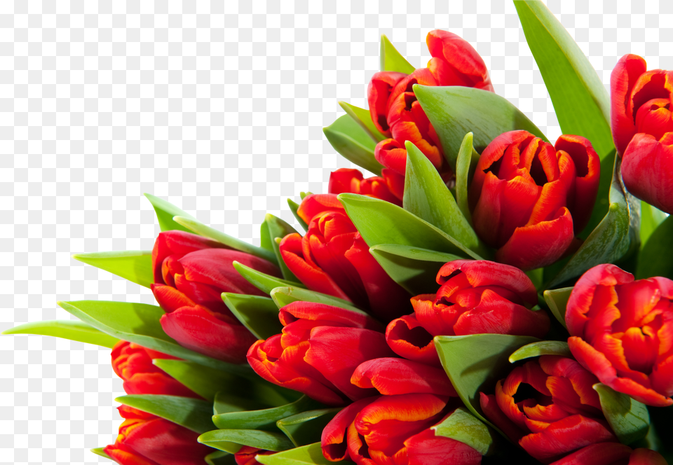 Bouquet Flowers Flower Bouquet Free Transparent Png