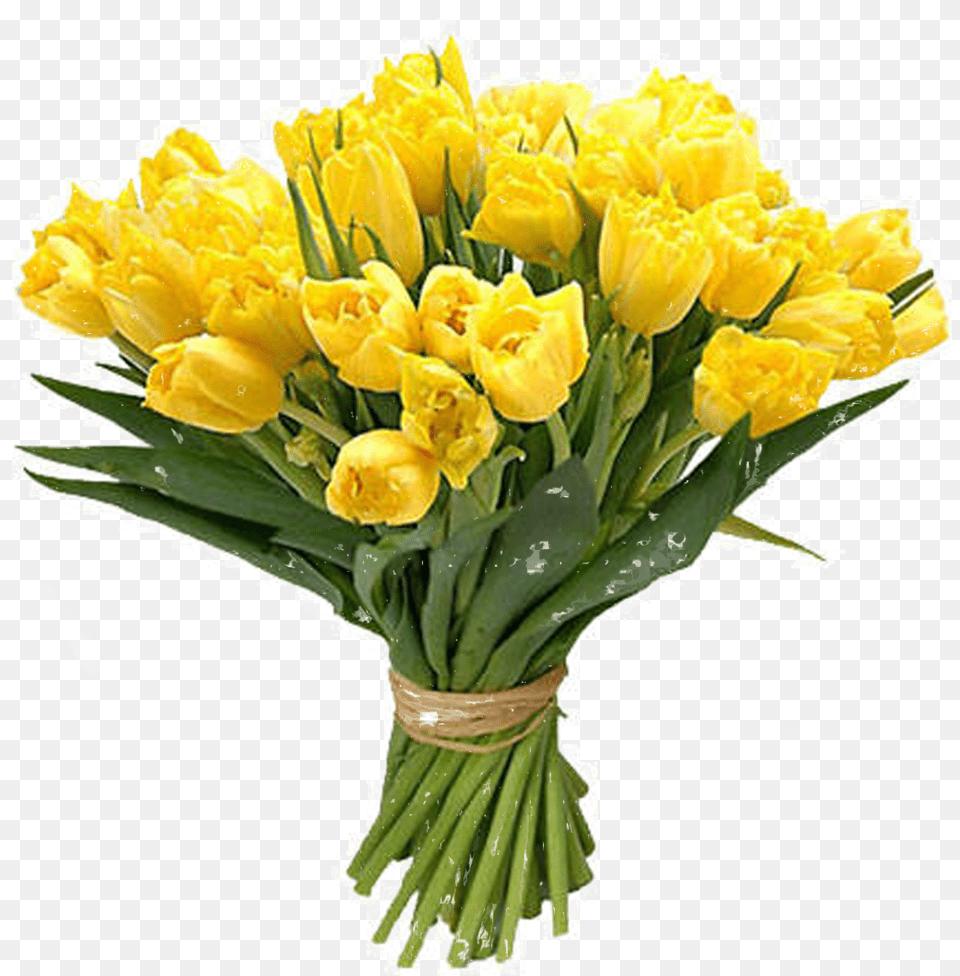 Bouquet Flowers Green Flower, Flower Arrangement, Flower Bouquet, Plant, Daffodil Free Png Download