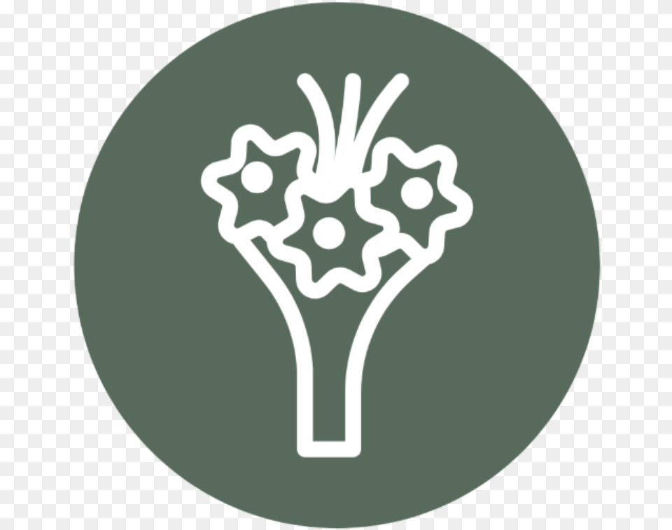 Bouquet Icon Illustration, Light, Stencil, Nature, Outdoors Free Transparent Png