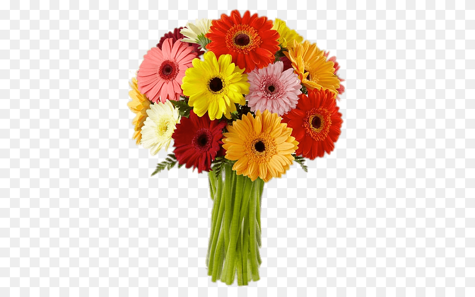 Bouquet Of Coloured Gerberas, Daisy, Flower, Flower Arrangement, Flower Bouquet Free Png