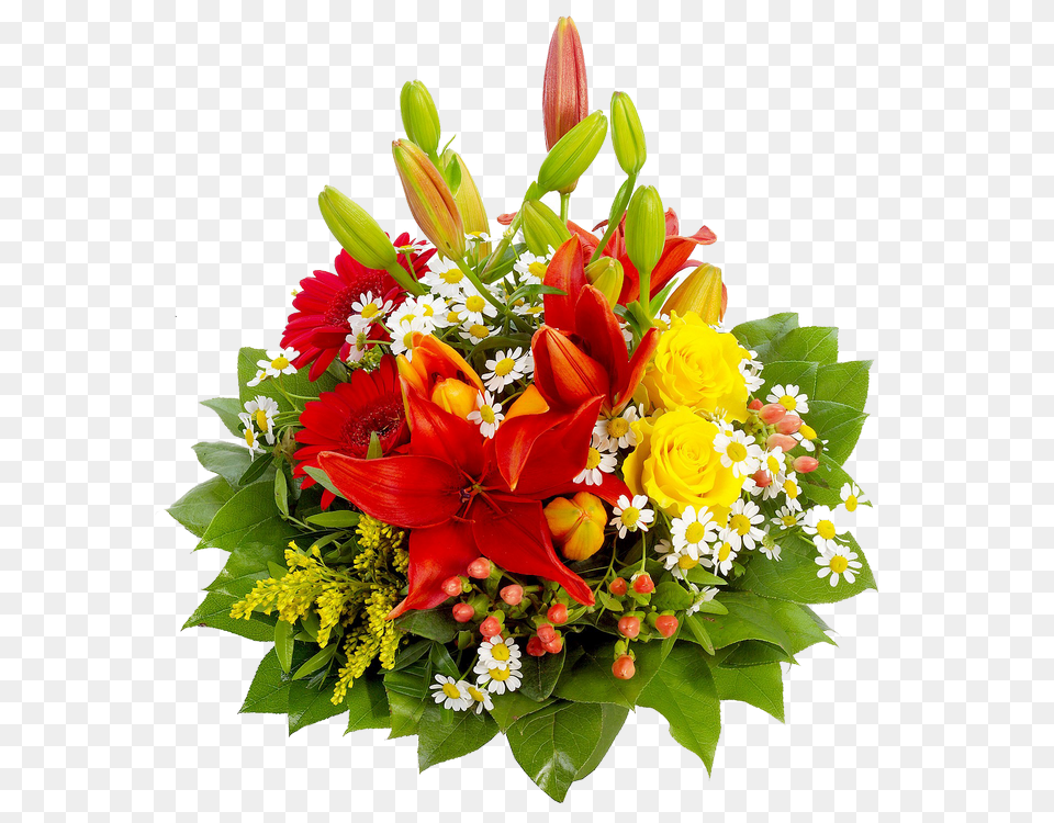 Bouquet Of Flowers, Flower, Flower Arrangement, Flower Bouquet, Plant Png Image