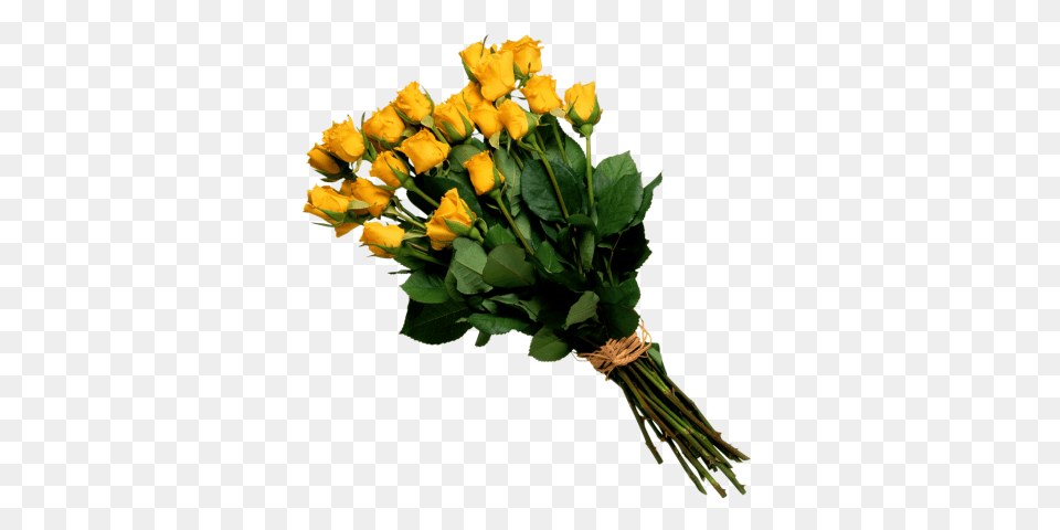 Bouquet Of Flowers, Flower, Flower Arrangement, Flower Bouquet, Plant Free Transparent Png