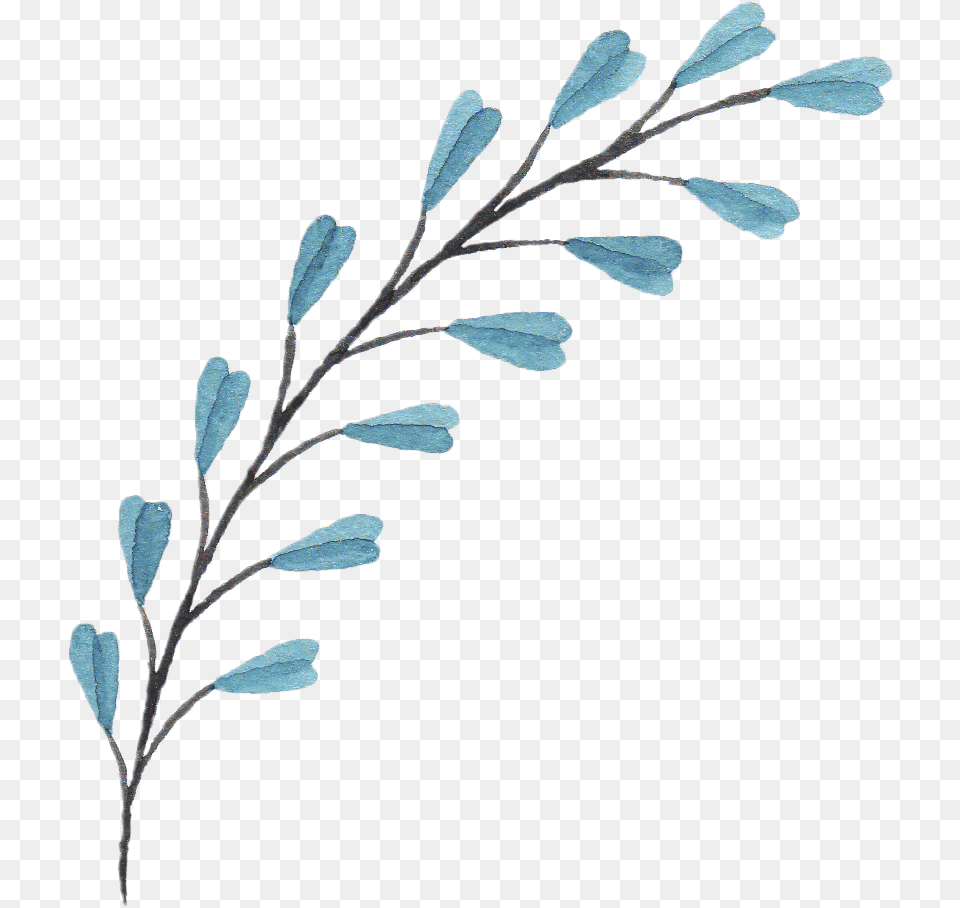 Bouquet Of Flowers Branches With Flowers Drawing, Ice, Plant, Leaf, Art Free Transparent Png