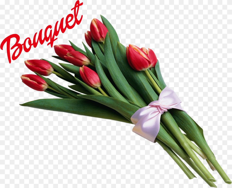Bouquet Of Flowers Image, Flower, Flower Arrangement, Flower Bouquet, Plant Free Transparent Png