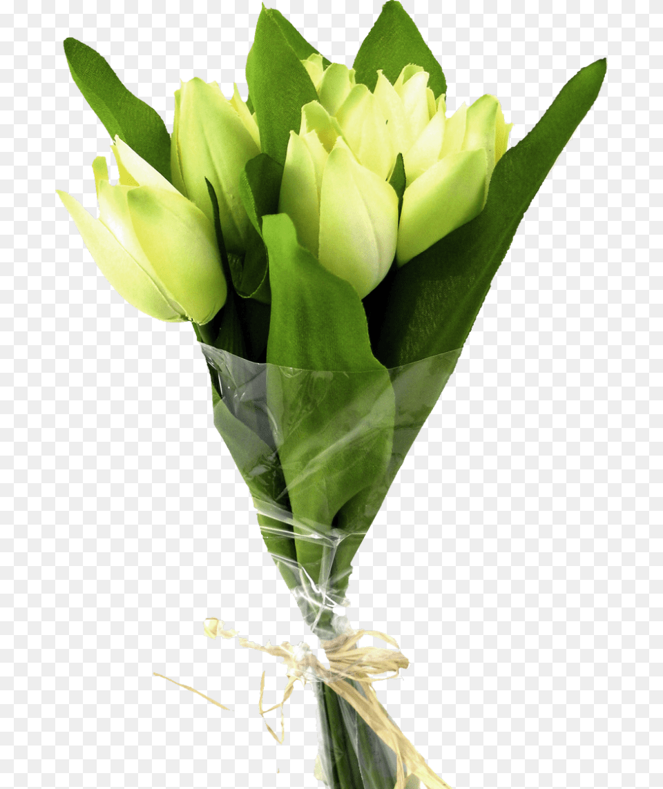 Bouquet Of Flowers Image Buket Iz 3 Tyulpanov, Flower, Flower Arrangement, Flower Bouquet, Plant Png