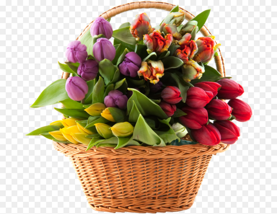 Bouquet Of Flowers Image Flowers Basket Transparent, Flower, Flower Arrangement, Flower Bouquet, Plant Free Png