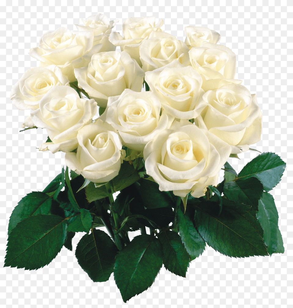 Bouquet Of Flowers Image White Flower Bokeh, Flower Arrangement, Flower Bouquet, Plant, Rose Free Png Download